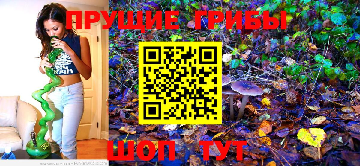 Галлюциногенные грибы Psilocybine cubensis Санкт-Петербург