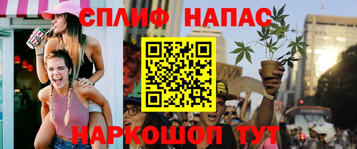 Конопля гибрид Санкт-Петербург